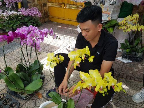 Cánh nhà giàu không tiếc tiền “rước” lan đẹp về chơi Tết