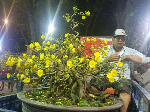 Cúc, quất... giá giảm hơn một nửa, dân Sài Gòn đổ xô đi mua