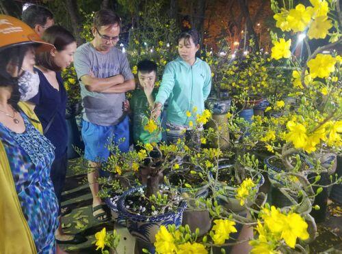 Cúc, quất... giá giảm hơn một nửa, dân Sài Gòn đổ xô đi mua