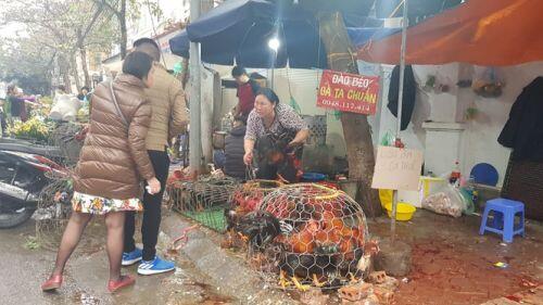 Hà Nội: Giá thịt lợn, thịt gà tăng kỷ lục, người dân chen nhau mua 30 Tết