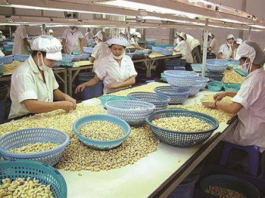Lafooco lãi 4 quý liên tiếp
