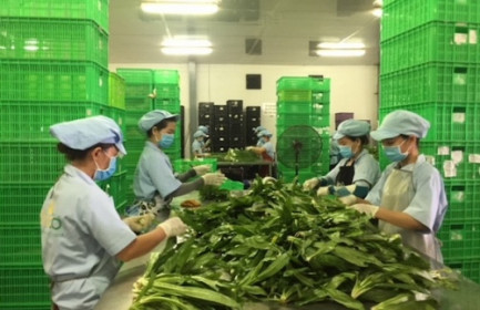 “Động cơ 2 thì” của "ông lớn" ngành nông nghiệp