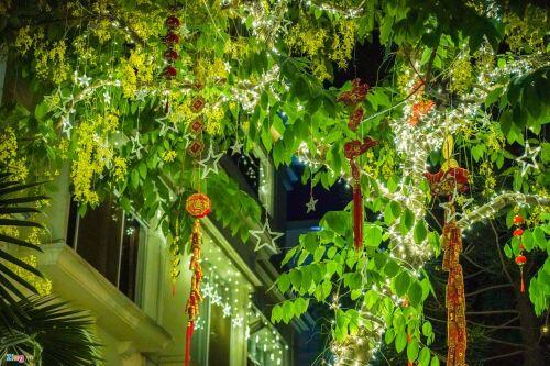 Cảnh trang hoàng đón Tết tại phố nhà giàu TP HCM