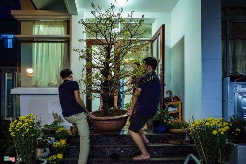 Cảnh trang hoàng đón Tết tại phố nhà giàu TP HCM