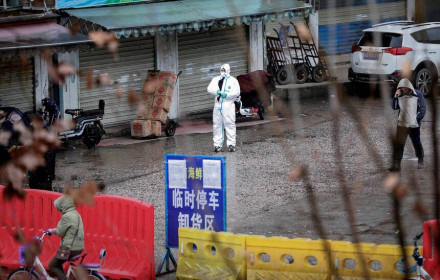 Chính quyền Trung Quốc công bố toàn bộ thông tin về dịch bệnh, đặc điểm phân biệt virus corona mới với SARS và khả năng đột biến