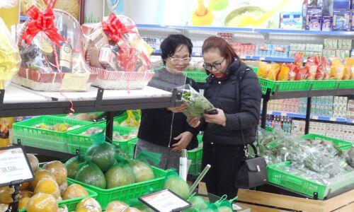 Hapro "ra quân" đầu Xuân Canh Tý 2020