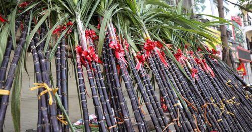 Vốn ít, lãi “khủng” từ việc bán muối, mía ngày Tết