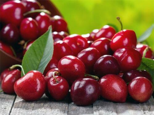 14 thực phẩm chống viêm mạnh mẽ, bảo vệ sức khỏe hiệu quả