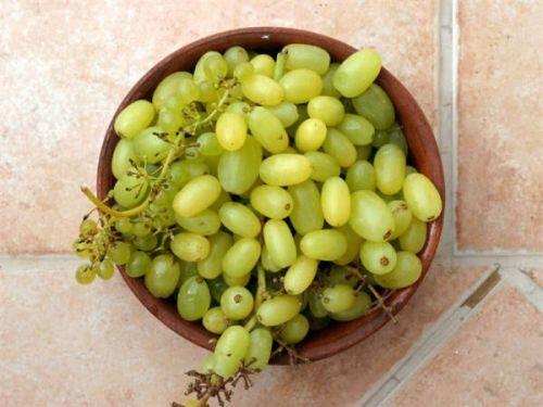 14 thực phẩm chống viêm mạnh mẽ, bảo vệ sức khỏe hiệu quả