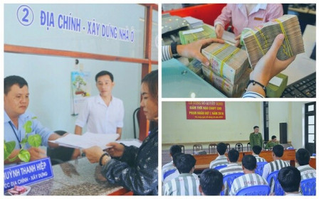 Những quy định mới từ tháng 2/2020