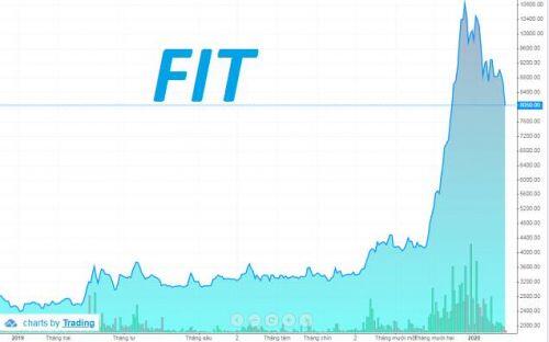 FIT: Năm 2019 chuyển lỗ thành lãi, cổ phiếu tăng gần 300%