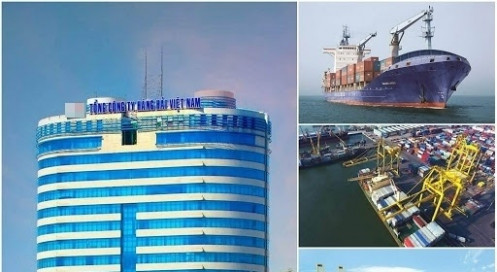 'Siêu Ủy ban' tiếp tục giới hạn vốn đầu tư của Vinalines năm 2020