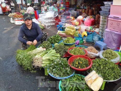 Trữ thức ăn trước dịch corona, nhiều siêu thị hết veo thực phẩm