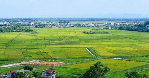 Xử phạt vi phạm hành chính trong lĩnh vực đất đai: Chưa đủ sức răn đe