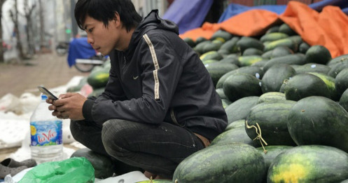 Hàng Việt xuất vào Trung Quốc giảm 1,5 tỷ USD ngay trong tháng đầu năm