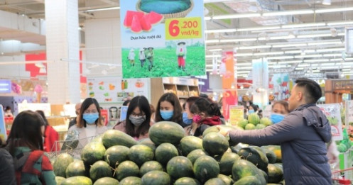 Big C cam kết thu mua dưa hấu từ 6.200 đồng/kg cho nông dân