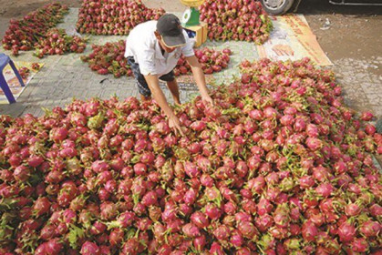 Áp lực lớn cho chính sách tiền tệ Việt Nam trong mùa dịch