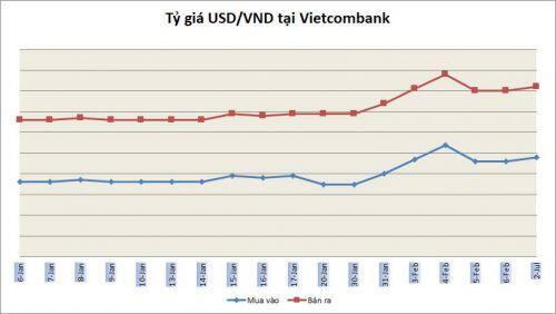 Tỷ giá ngày 7/2: Không nhiều biến động