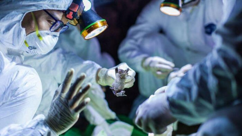 Cập nhật 6h00 ngày 8/2: Số ca tử vong do virus corona ở Trung Quốc lớn hơn thiệt hại về người trong dịch SARS. Mỹ cam kết hỗ trợ 100 triệu USD