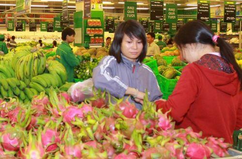 Nhà vườn, doanh nghiệp thanh long tìm hướng “xoay chuyển” tự cứu mình