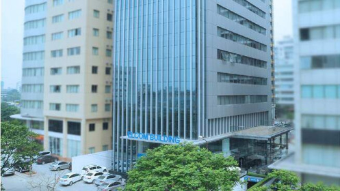Elcom (ELC): Doanh thu thuần quý IV/2019 lập kỷ lục, đạt 610 tỷ đồng