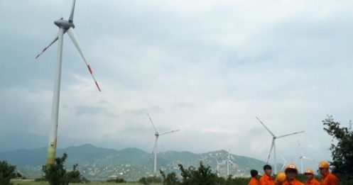Chạy đua làm điện gió, bán giá cao ngất hơn 2.000 đồng/kWh