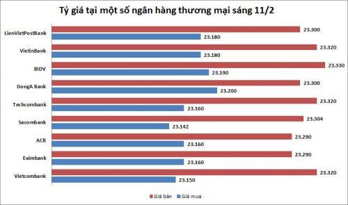 Tỷ giá ngày 11/2: Đi ngang
