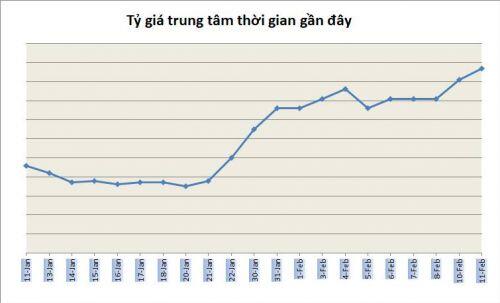 Tỷ giá ngày 11/2: Đi ngang
