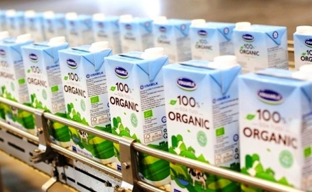 Chưa kể thị trường Trung Quốc, nhu cầu sữa nội địa hồi phục sẽ dẫn dắt tăng trưởng của Vinamilk