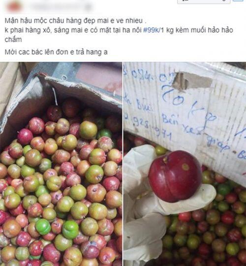 Loạn giá mận Mộc Châu trái mùa, tiểu thương nhét túi vài triệu/ngày