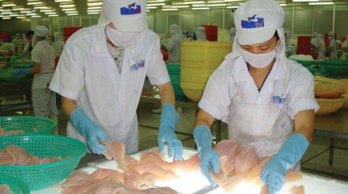 Thua lỗ đeo bám HVG, HNG, PVX, DTL, VIS