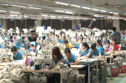 EVFTA - “trái ngọt không dễ hái” của ngành may
