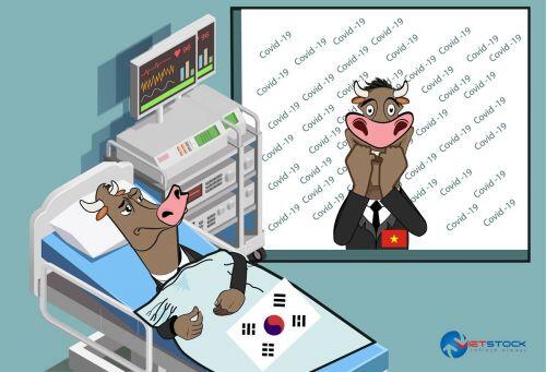 Mạn đàm về COVID-19 và thị trường tài chính