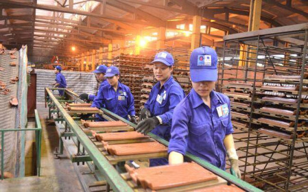 DTC muốn dùng toàn bộ lợi nhuận 2019 để bù lỗ lũy kế năm trước