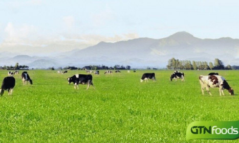Nhóm Invest Tây Đại Dương bán thêm gần 3 triệu cổ phiếu GTN