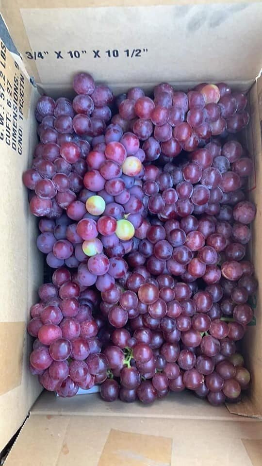 Nho đỏ Ninh Thuận 50.000 đồng/kg tràn chợ mạng: Tiểu thương chỉ cách nhận biết