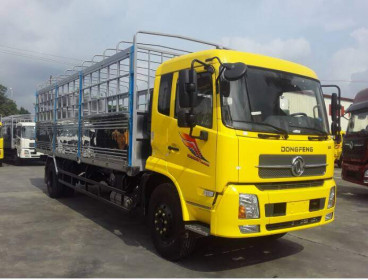 HHS sẽ chia cổ tức năm 2019 tỷ lệ 4% bằng tiền mặt 