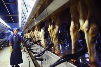 GTNFoods (GTN): Cổ đông lớn thoái vốn