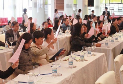 Luật Doanh nghiệp chưa bảo vệ được cổ đông nhỏ?