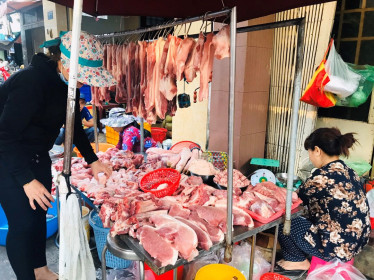 Giá heo hơi ngày 5.3: ‘Nhảy múa’ chóng cả mặt