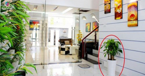 8 “bí kíp” phong thủy đơn giản nhưng hiệu quả giúp nhà bạn càng ở càng vượng