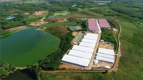 Công ty Dabaco vi phạm môi trường, bị phạt 300 triệu... kinh doanh gì?