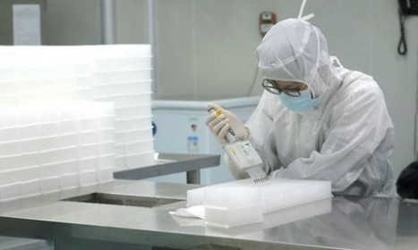 Phát triển kháng thể có khả năng vô hiệu hóa virus SARS-CoV-2