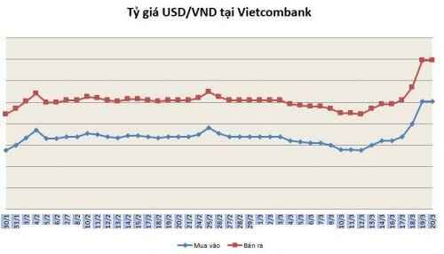 Tỷ giá ngày 20/3: Đồng USD tiếp tục mạnh lên