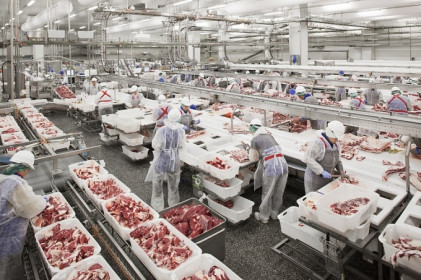 50.000 tấn thịt heo đổ về, dân Việt được ăn lợn giá rẻ