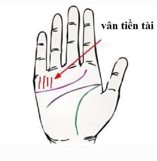 Xòe bàn tay và quan sát, nét quý tướng nếu xuất hiện dù bạn muốn nghèo cũng khó
