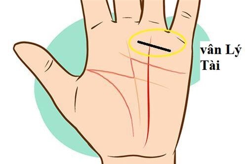 Xòe bàn tay và quan sát, nét quý tướng nếu xuất hiện dù bạn muốn nghèo cũng khó