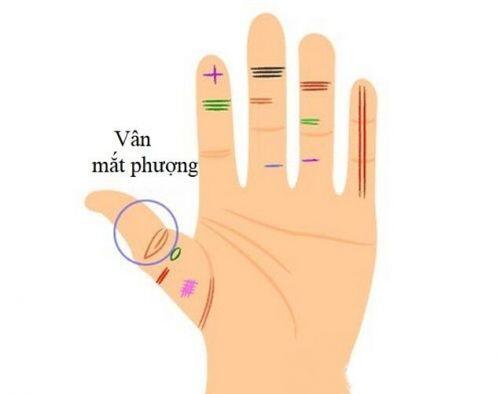 Xòe bàn tay và quan sát, nét quý tướng nếu xuất hiện dù bạn muốn nghèo cũng khó