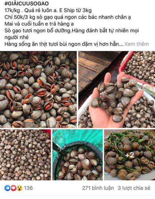 Sò gạo giá rẻ chưa từng có tràn ngập chợ online, giá chỉ 17.000đ/kg