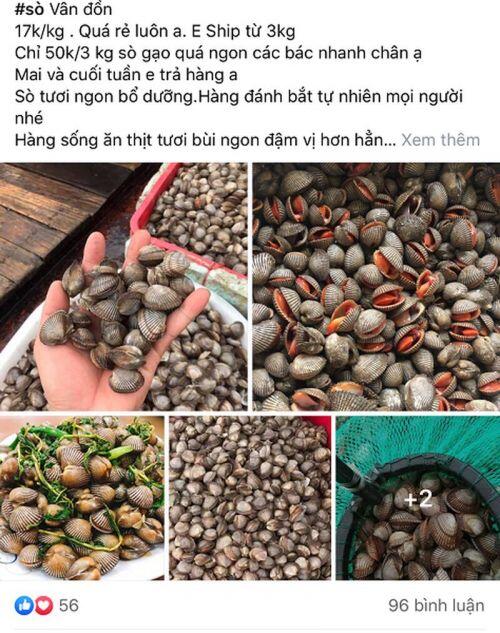 Sò gạo giá rẻ chưa từng có tràn ngập chợ online, giá chỉ 17.000đ/kg